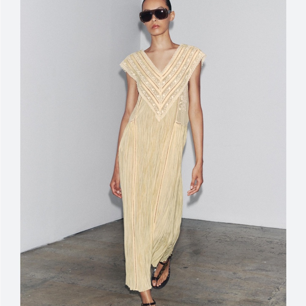 ISO Zara ZW Collection embroidered pleated dress size xs or small